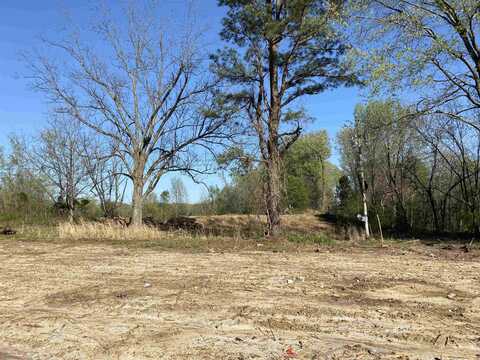 208 NOLAN, Covington, TN 38019