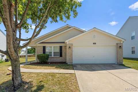 1508 Autumn Lakes Lane, Mascoutah, IL 62258
