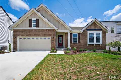 7412 Snowy Owl Court, Affton, MO 63123