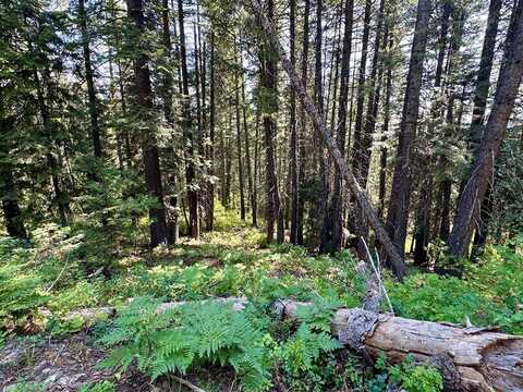 37 Arling Trail unit: 5A-74, Donnelly, ID 83615