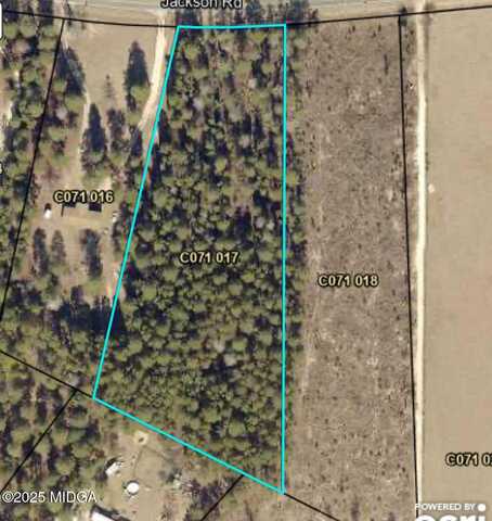 lot 99 Jackson Road, Roberta, GA 31078