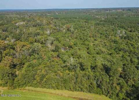 0 Highway 28, Mize, MS 39116