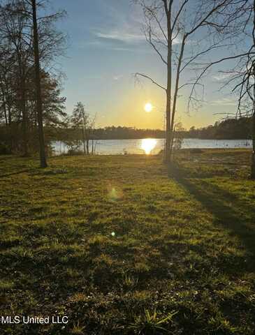 Spring Lake E Drive, Vancleave, MS 39565