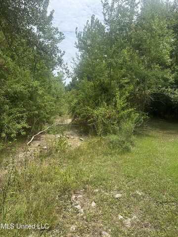 Petite St., Waveland, MS 39576