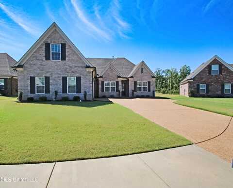 727 Holiday Cove, Hernando, MS 38632