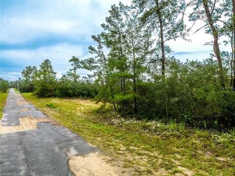 8109 N WAYSIDE AVENUE, DUNNELLON, FL 34433
