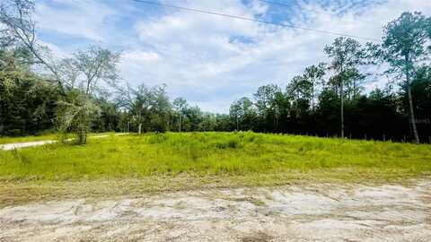 Lot 217 NE 96TH ST, BRONSON, FL 32621