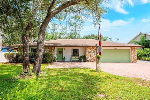 13913 S LAKE MARY JANE ROAD, ORLANDO, FL 32832