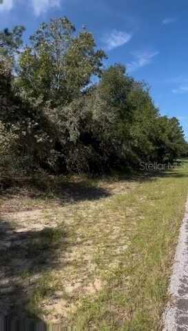 3222 W BRAZILNUT ROAD, BEVERLY HILLS, FL 34465