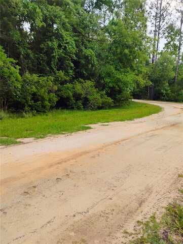 228 ATKINS ROAD, GEORGETOWN, FL 32139