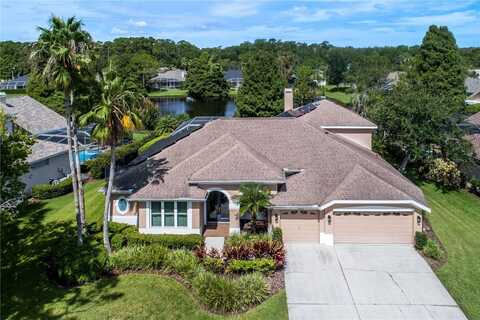 10553 GREENCREST DRIVE, TAMPA, FL 33626
