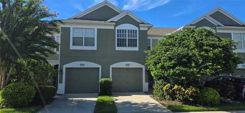 10123 PINK PALMATA COURT, RIVERVIEW, FL 33578