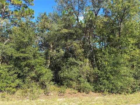 SW SEAWEED AVENUE, DUNNELLON, FL 34430