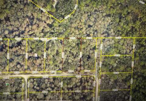 ROSE BLOOM AVENUE, WEBSTER, FL 33597