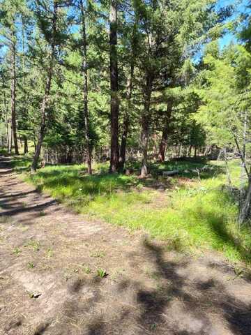 1825 Copper Cliff Drive, Potomac, MT 59823
