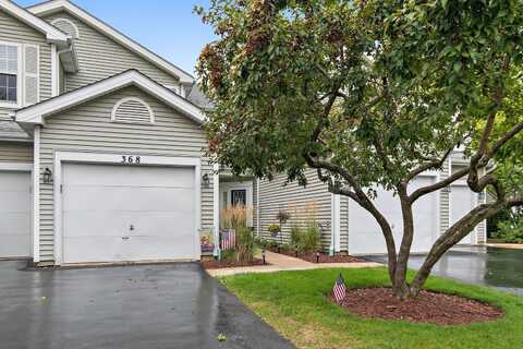 368 Maidstone Court, Schaumburg, IL 60194