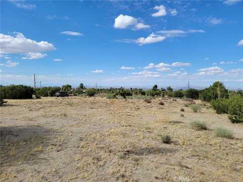 9855 Holiday Lane, Pinon Hills, CA 92372