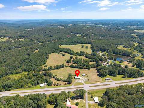 14298 Highway 231, Union Grove, AL 35175