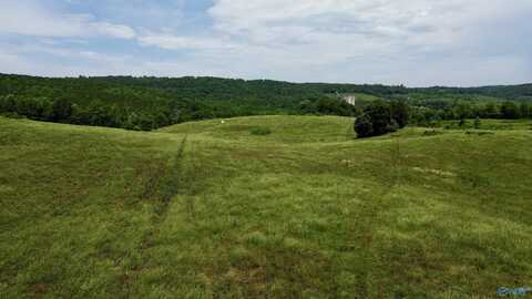 185 Acres Carnes Chapel Road, Attalla, AL 35954