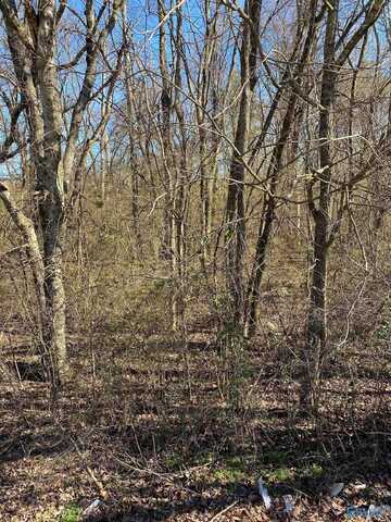 .7 Acres County Road 460, Moulton, AL 35650
