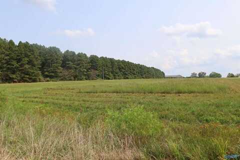 5 Acres County Road 47, Dutton, AL 35744