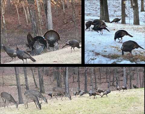 176 (Lafayette Co.) County Road 424, Water Valley, MS 38965
