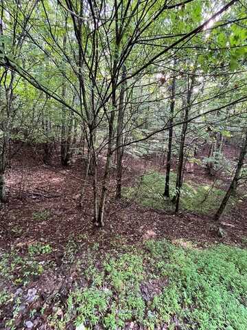 Lot 45ac Ash Branch Circle, Hayesville, NC 28904
