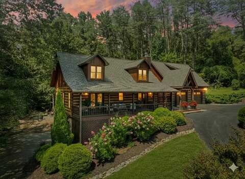 60 Lake Ridge Drive, Blue Ridge, GA 30513