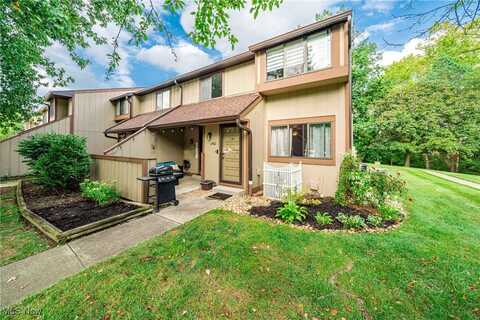 11432 Harbour Light Drive S unit: 1, North Royalton, OH 44133