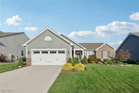 1981 Sourek Trail, Akron, OH 44313