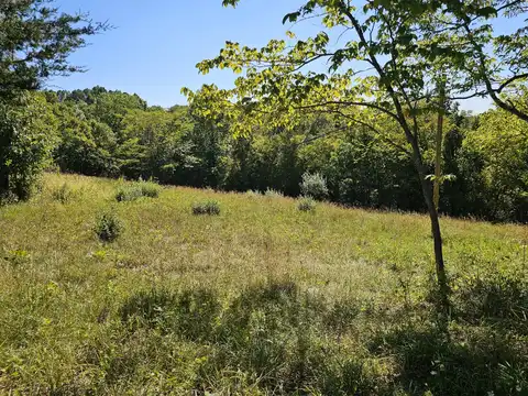 2456 KY-467, Demossville, KY 41033