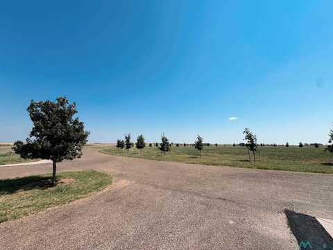 892 North Lakes Drive, Clovis, NM 88101