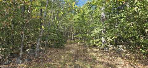 423-56 Griffin Road, Gilmanton, NH 03237
