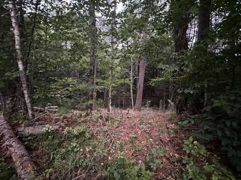 131 Adams Drive, Washington, NH 03280