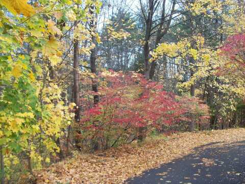 Sanborn Street, Laconia, NH 03246