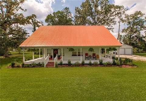 26267 OLIVER WHEAT Road, Livingston, LA 70754