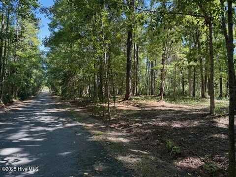 6702 Hummingbird Place, Oriental, NC 28571