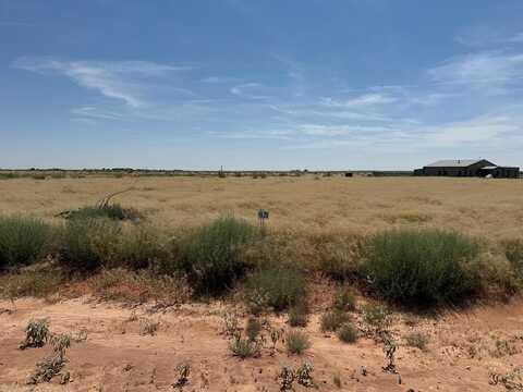 1110 SE 1620, Andrews, TX 79714