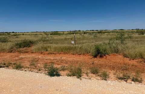 1175 SE 1620, Andrews, TX 79714