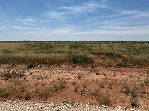 1130 SE 1620, Andrews, TX 79714