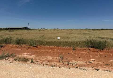 1145 SE 1620, Andrews, TX 79714
