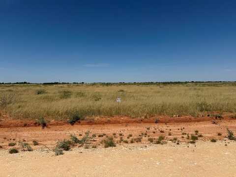 1130 SE 1620, Andrews, TX 79714