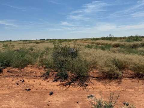 1140 SE 1620, Andrews, TX 79714