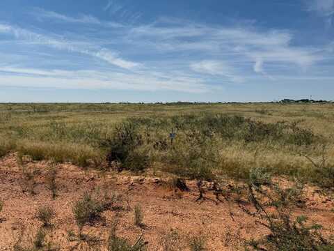 1160 SE 1620, Andrews, TX 79714