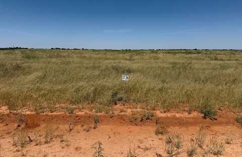 1145 SE 1620, Andrews, TX 79714