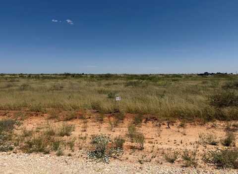 1190 SE 1620, Andrews, TX 79714