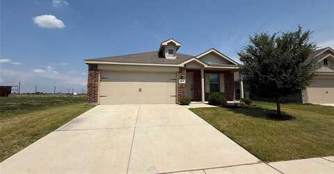 14017 Ilderton Street, Pilot Point, TX 76258