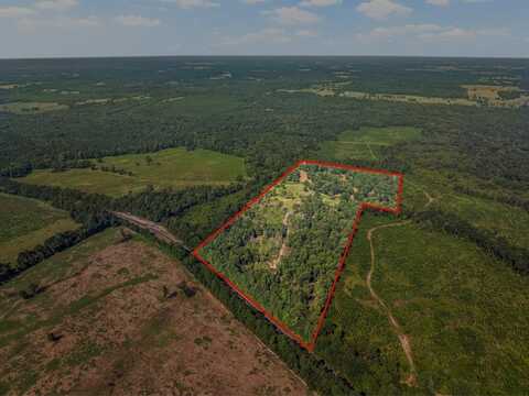 Tbd Mink Road, Gilmer, TX 75644