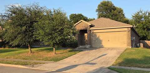 3320 Dumas Drive, Anna, TX 75409