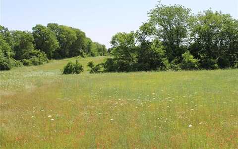 Tbd 1233 COUNTY ROAD 3210 Street, Dodd City, TX 75438